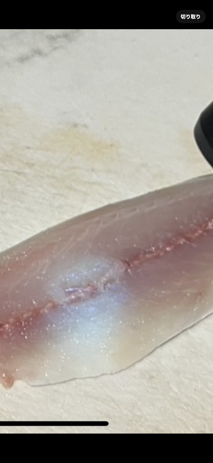 アニサキス探知機使用してます。